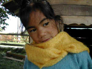 Mohair