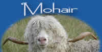 mohair